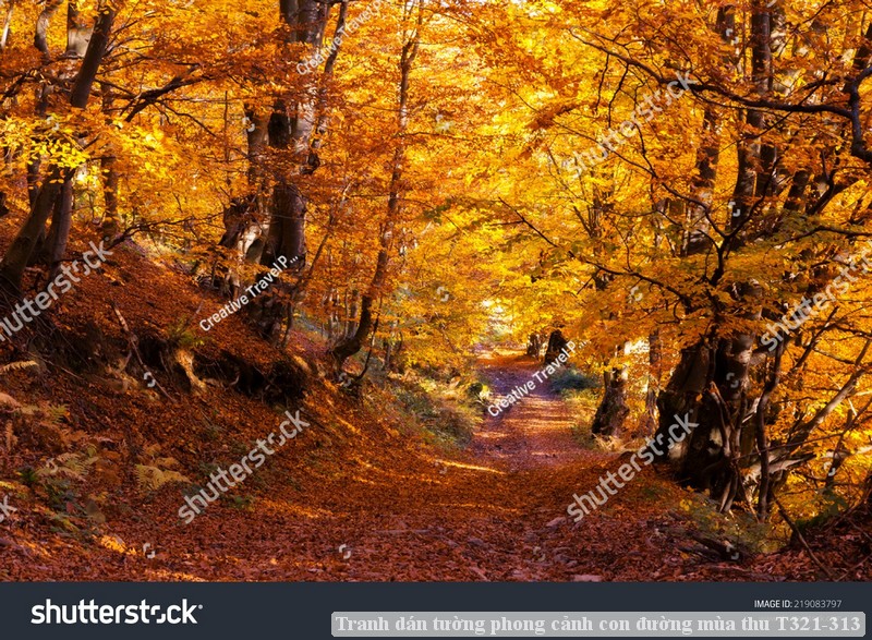 Tranh dán tường phong cảnh con đường mùa thu T321-313